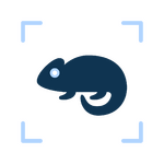 Detection of shape and colour changes icon